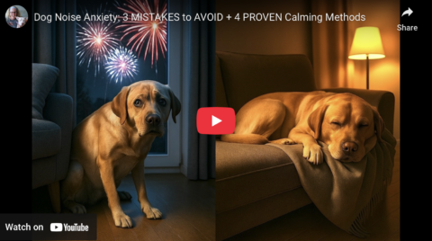 dog noise anxiety